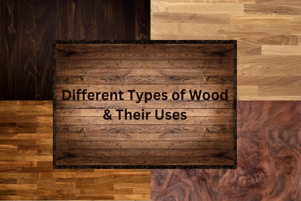 Different Types of Wood & Their Uses